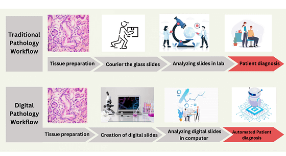 Traditional and Digital pathology workflow